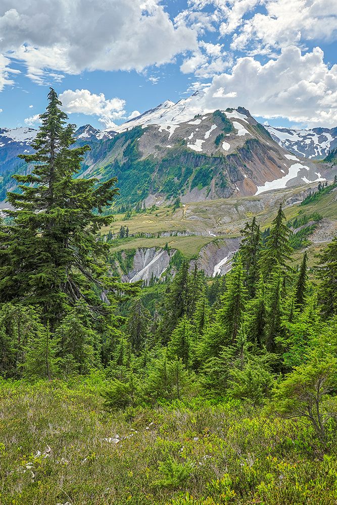 USA-Washington State-North Cascades National Park art print by Hollice Looney for $57.95 CAD