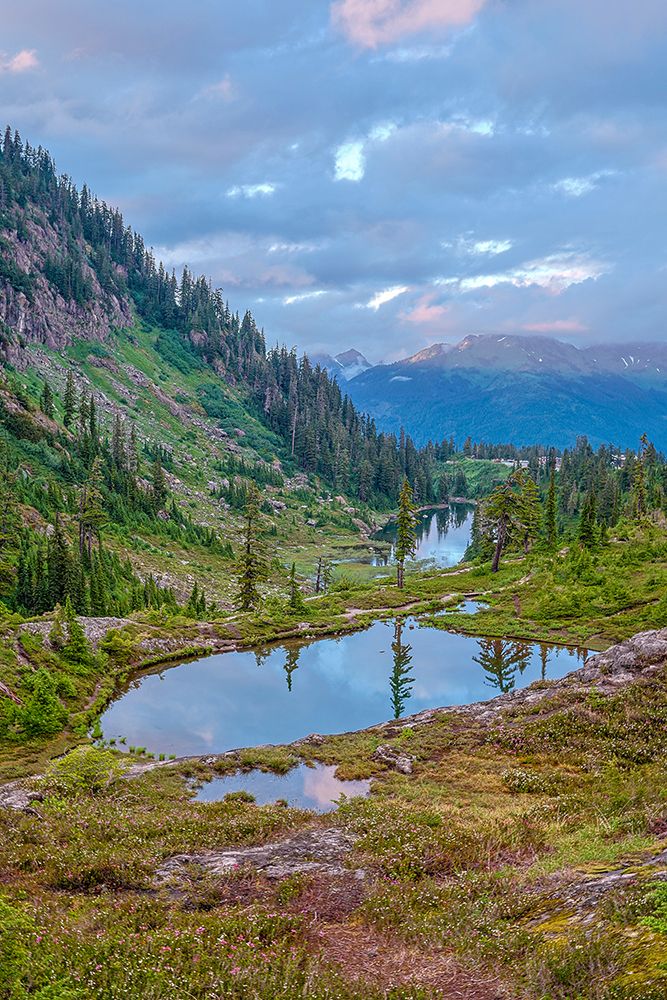 USA-Washington State-North Cascades National Park art print by Hollice Looney for $57.95 CAD