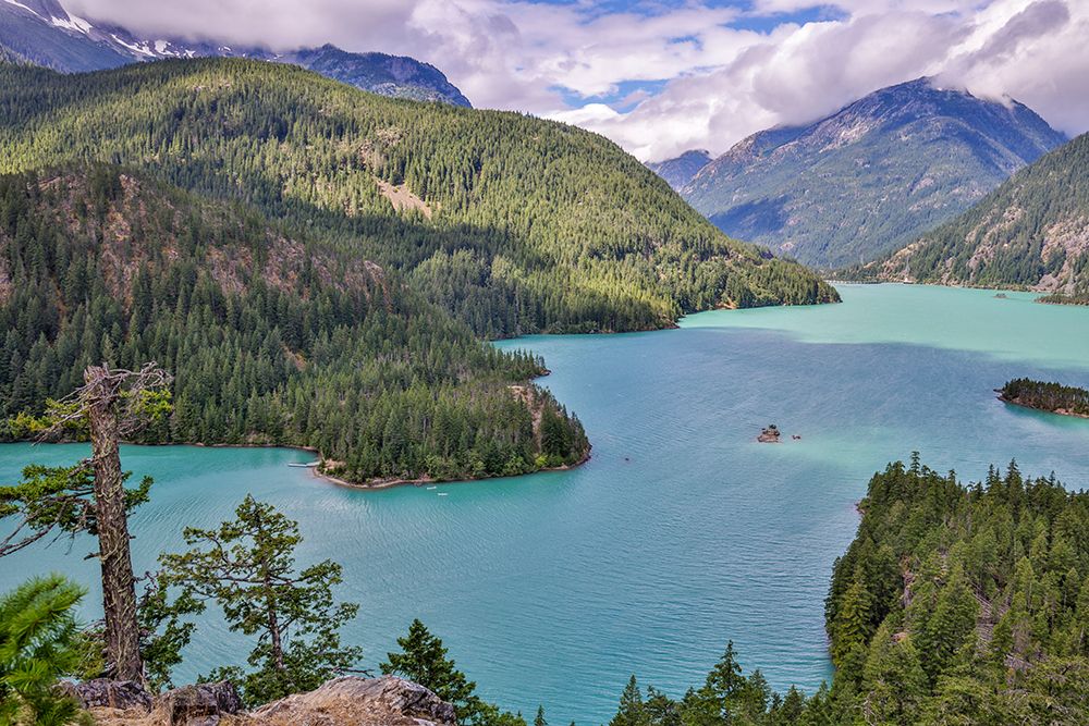 USA-Washington State-North Cascades National Park art print by Hollice Looney for $57.95 CAD