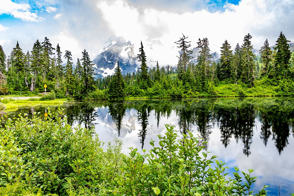 USA-Washington State-North Cascades National Park art print by Hollice Looney for $57.95 CAD