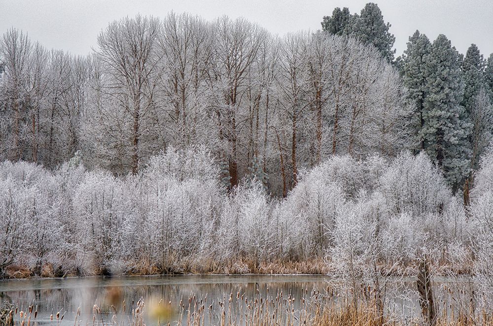 USA-Washington State-Cle Elum-Kittitas County. Winter along the Yakima River. art print by Julie Eggers for $57.95 CAD