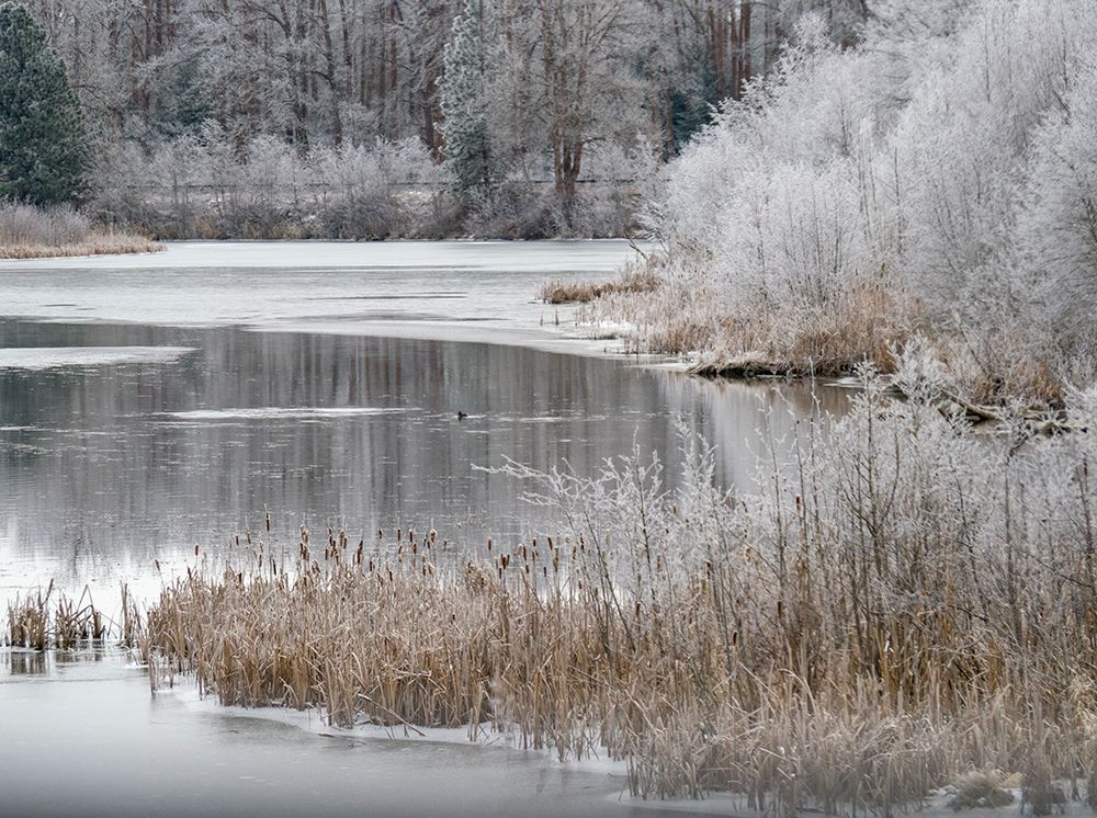 USA-Washington State-Cle Elum-Kittitas County. Winter along the Yakima River. art print by Julie Eggers for $57.95 CAD