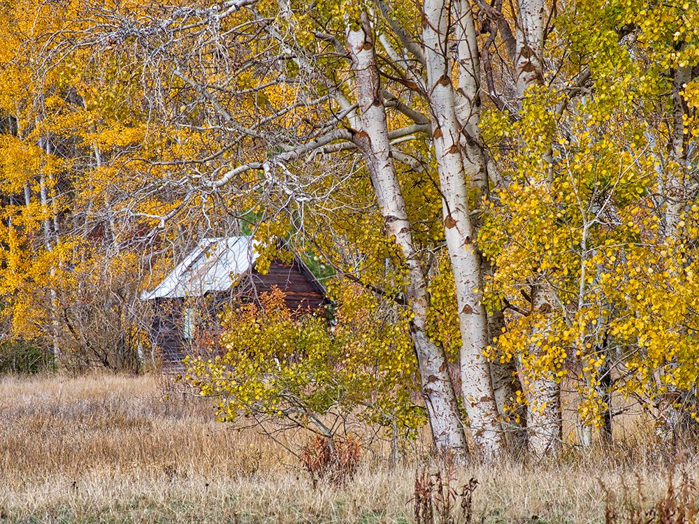USA-Washington State-Eastern Washington-Cle Elum-Kittitas County. art print by Julie Eggers for $57.95 CAD