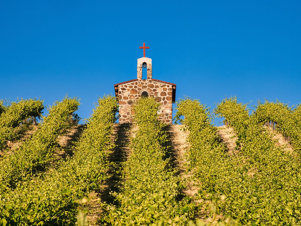 Red Willow Vineyards with stone chapel (PR) art print by Julie Eggers for $57.95 CAD