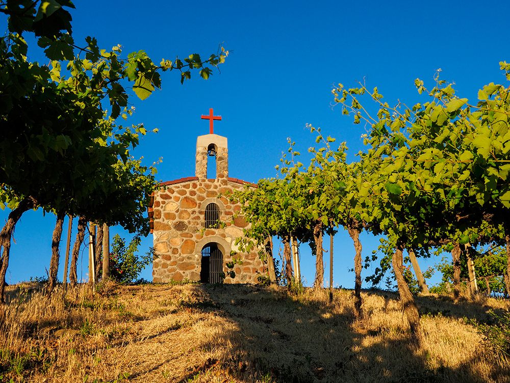 Red Willow Vineyards with stone chapel (PR) art print by Julie Eggers for $57.95 CAD