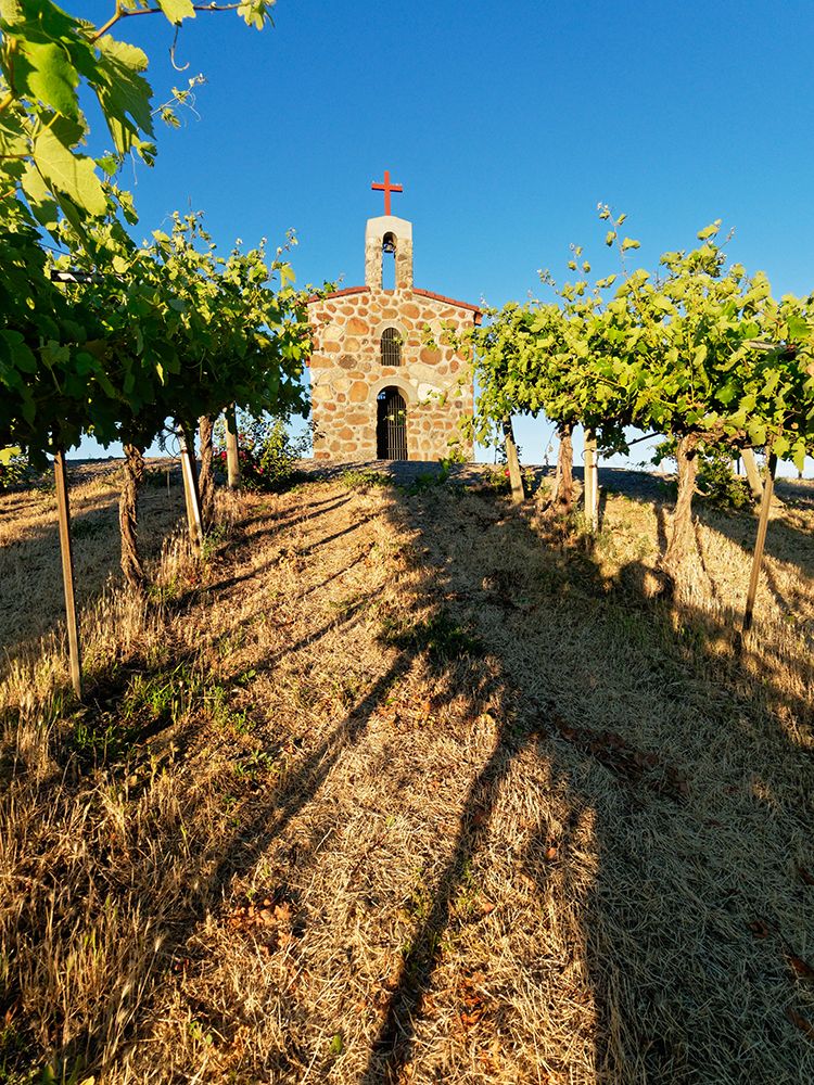 Red Willow Vineyards with stone chapel (PR) art print by Julie Eggers for $57.95 CAD