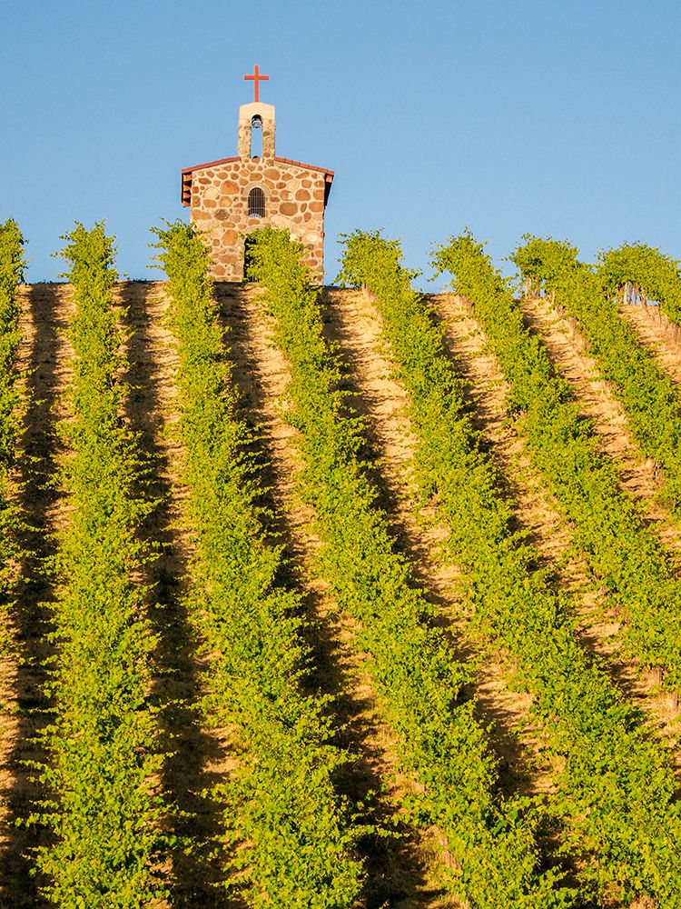 Red Willow Vineyards with stone chapel (PR) art print by Julie Eggers for $57.95 CAD