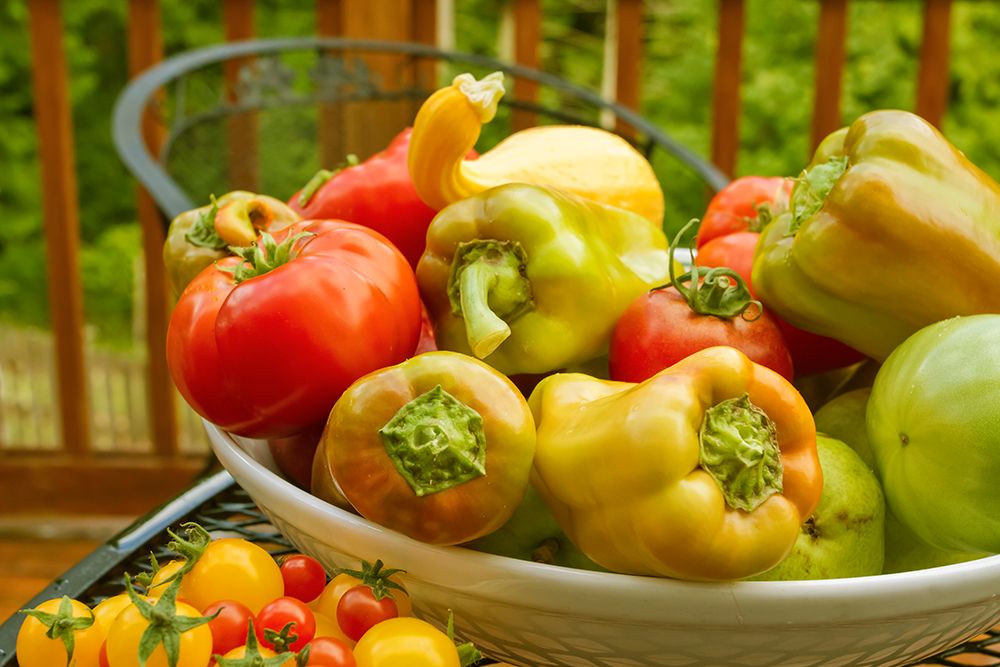 Sammamish-Washington State-USA Bowl of fresh produce art print by Janet Horton for $57.95 CAD
