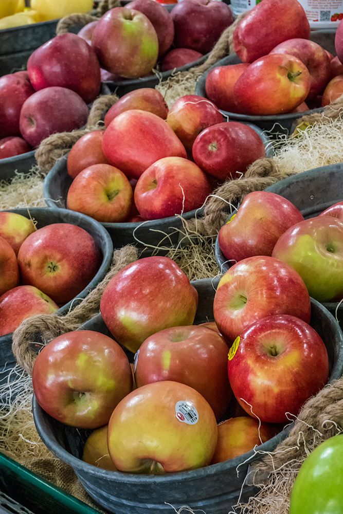 Wenatchee-Washington State-USA Freshly harvested locally grown Fuji and other apples art print by Janet Horton for $57.95 CAD
