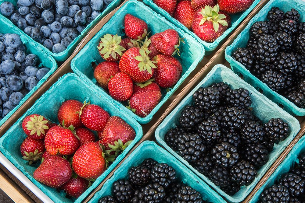 Issaquah-Washington State-USA Pints of freshly harvested strawberries art print by Janet Horton for $57.95 CAD