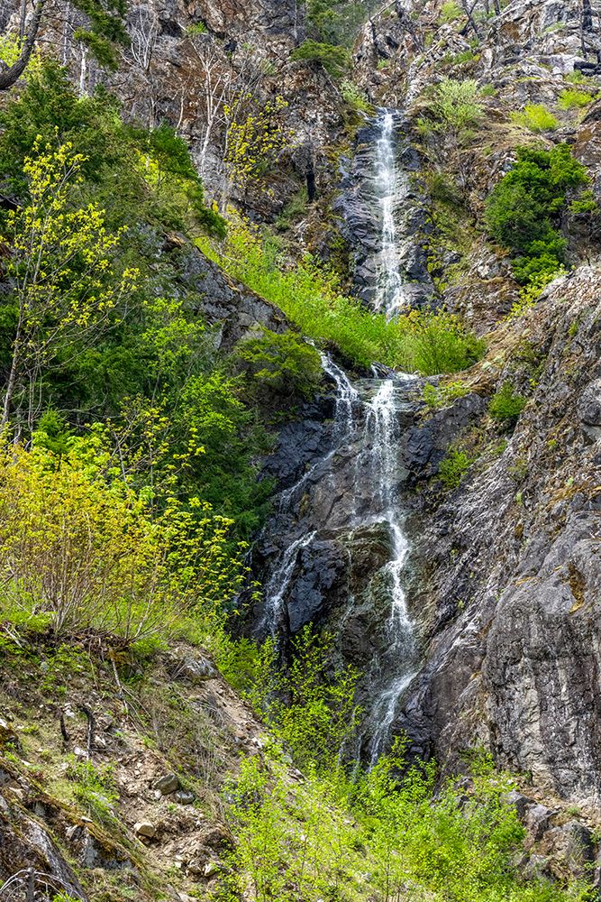 North Cascades NP, Washington. Waterfalls in springtime, trees and shrubs clinging to granite cliff art print by Janet Horton for $57.95 CAD