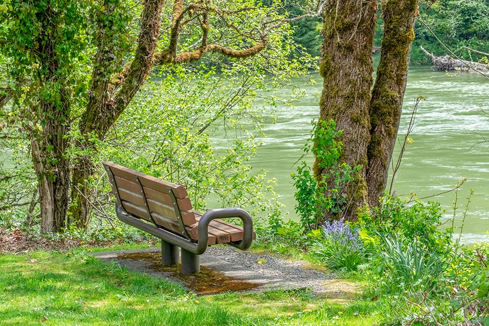 Rockport, Washington State, USA. Bench overlooking Skagit River in Rockport Steelhead Park. art print by Janet Horton for $57.95 CAD