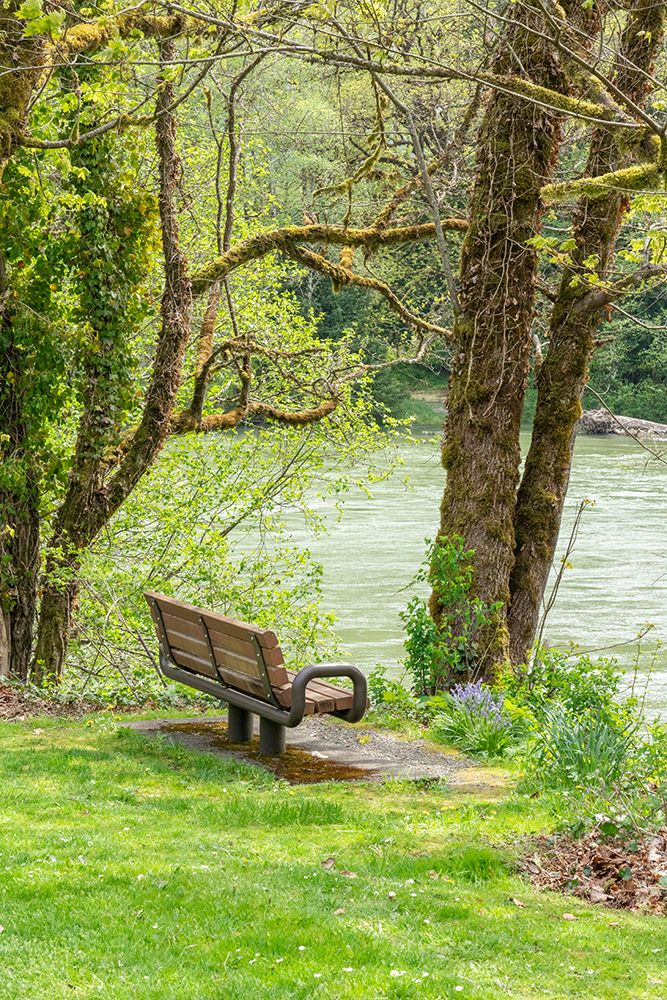 Rockport, Washington State, USA. Bench overlooking Skagit River in Rockport Steelhead Park. art print by Janet Horton for $57.95 CAD