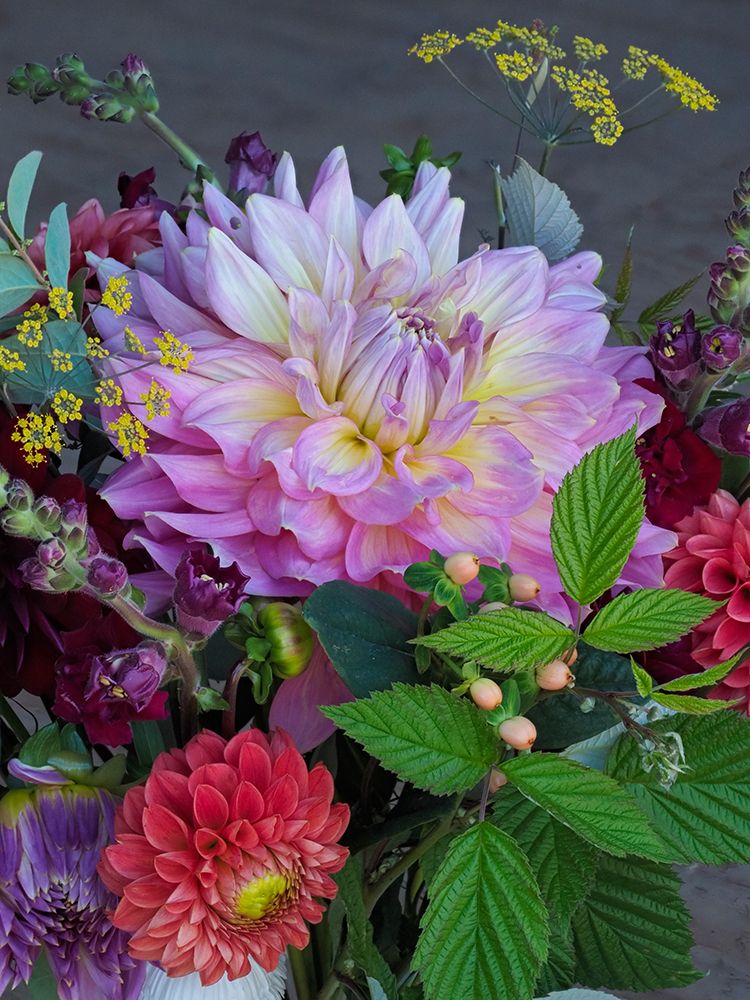 Usa-Washington State-Duvall. Purple Garden dahlia in bouquet of cut flowers art print by Merrill Images for $57.95 CAD