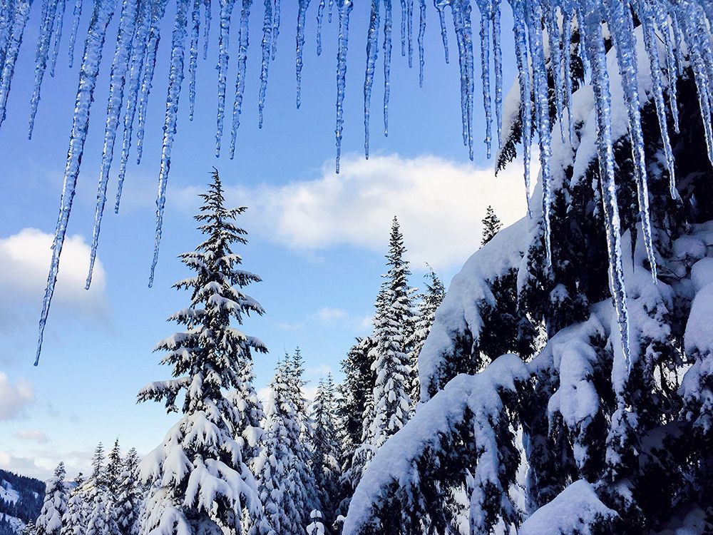 Usa-Washington State. Crystal Mountain-icicles and snow-covered trees. art print by Merrill Images for $57.95 CAD