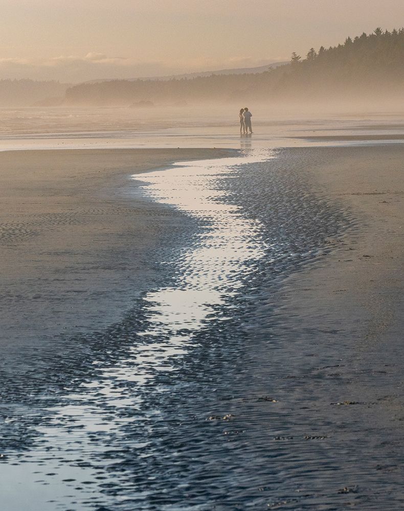 Silhouette of people walking on beach in mist. Kalaloch Beach, Olympic Peninsula, Washington State. art print by Merrill Images for $57.95 CAD