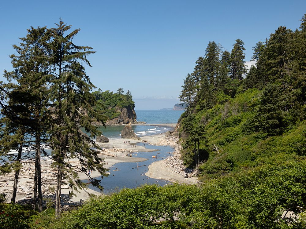 Ruby Beach, Olympic Peninsula, WA. Freshwater stream runs down to the sea. Driftwood. Sea stack. art print by Merrill Images for $57.95 CAD