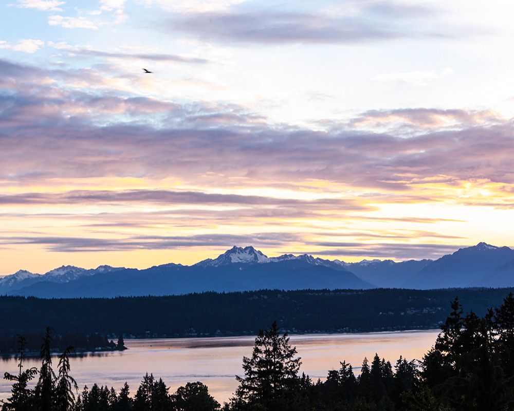 Bremerton-Washington State-Olympic Mountains-Puget Sound art print by Jolly Sienda for $57.95 CAD