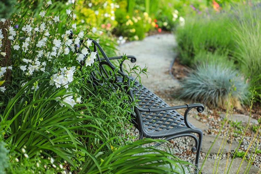 Bremerton, Washington State. Garden with wildflowers. art print by Jolly Sienda for $57.95 CAD