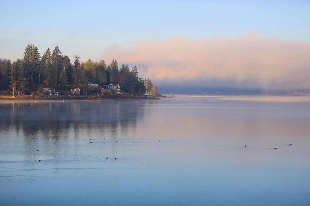 Bremerton, Washington State, Usa. Puget Sound waterfront property art print by Jolly Sienda for $57.95 CAD