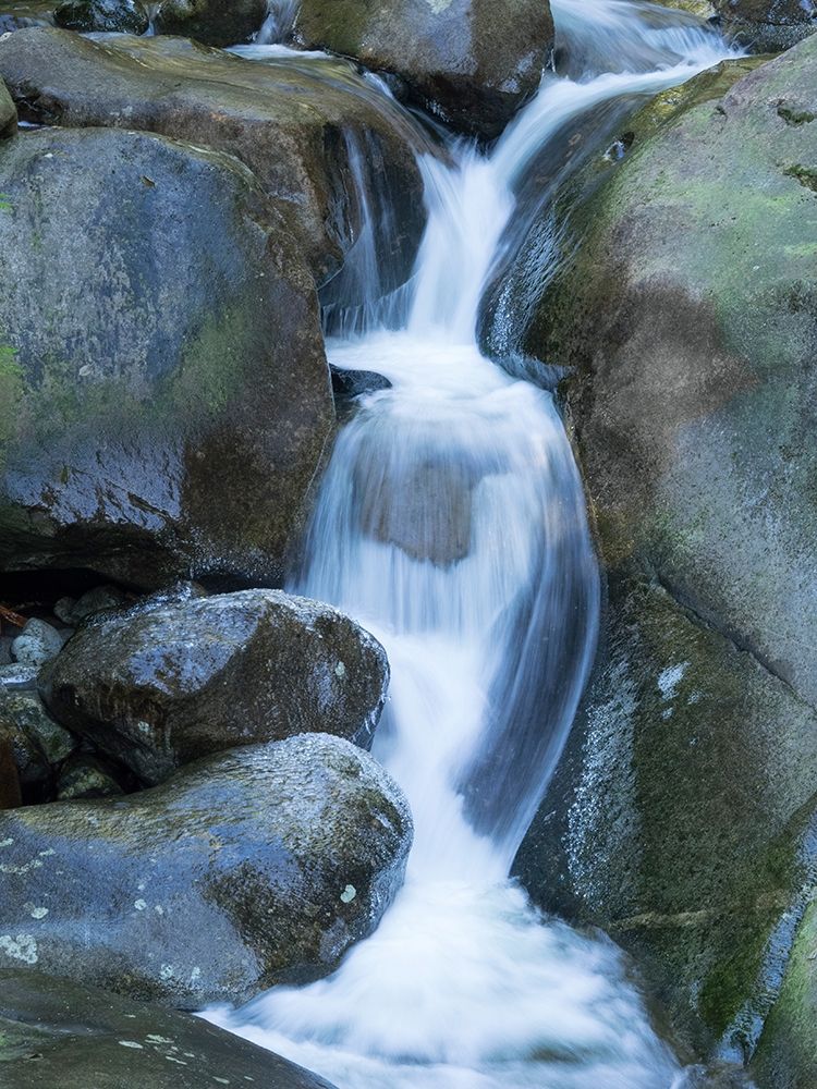 Washington State Central Cascades-Martin Creek Falls art print by Jamie and Judy Wild for $57.95 CAD