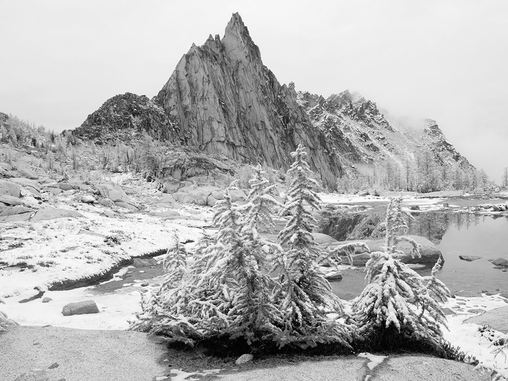 Alpine Lakes Wilderness-Enchantment Lakes-snow covered larch trees-with Prusik Peak art print by Jamie and Judy Wild for $57.95 CAD