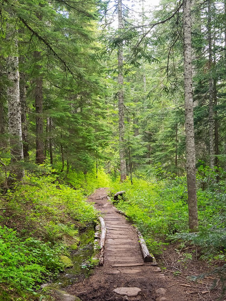 Washington State-Central Cascades-Trail to Pratt Ridge art print by Jamie and Judy Wild for $57.95 CAD