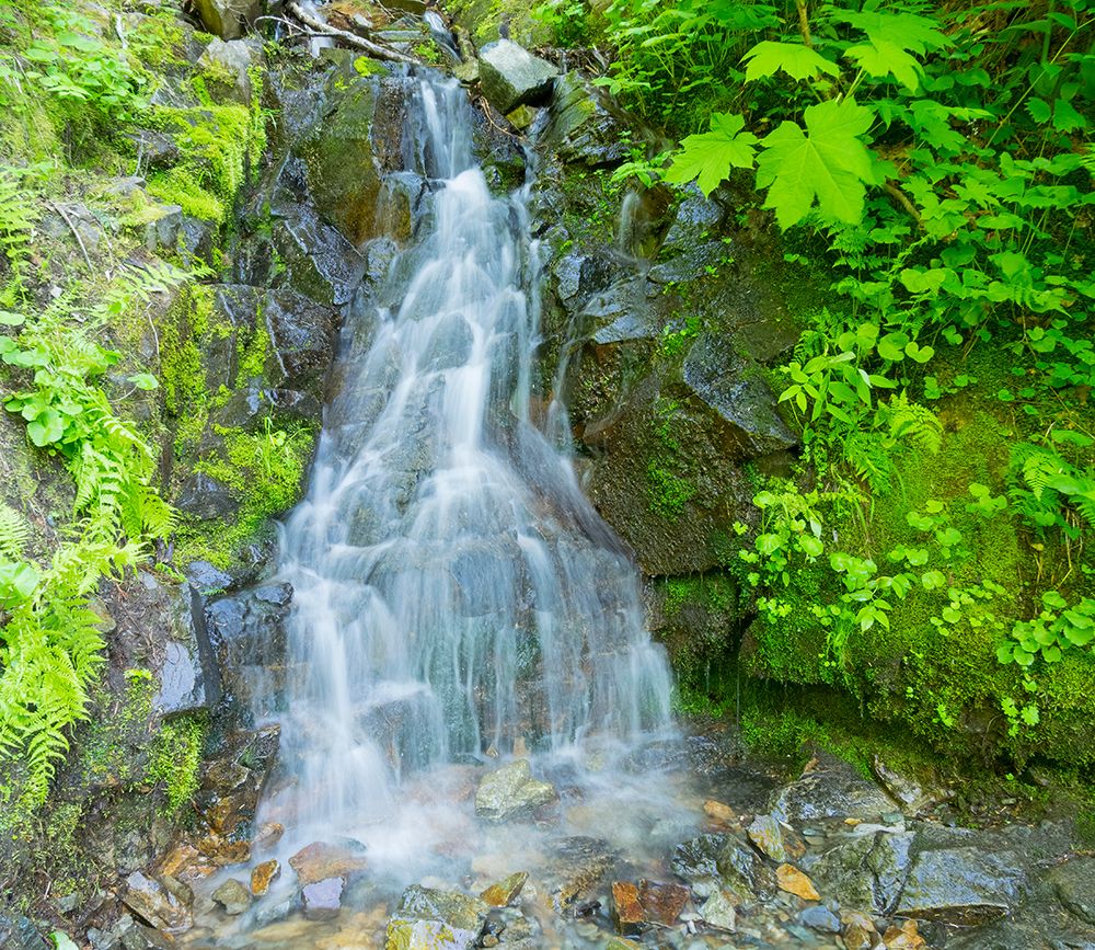 Washington State-Central Cascades-Waterfall-on trail to Annette Lake art print by Jamie and Judy Wild for $57.95 CAD