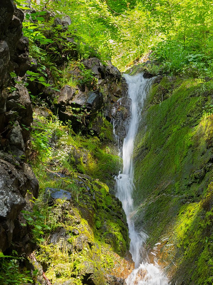 Washington State-Central Cascades-Waterfall at Kendall Peak art print by Jamie and Judy Wild for $57.95 CAD