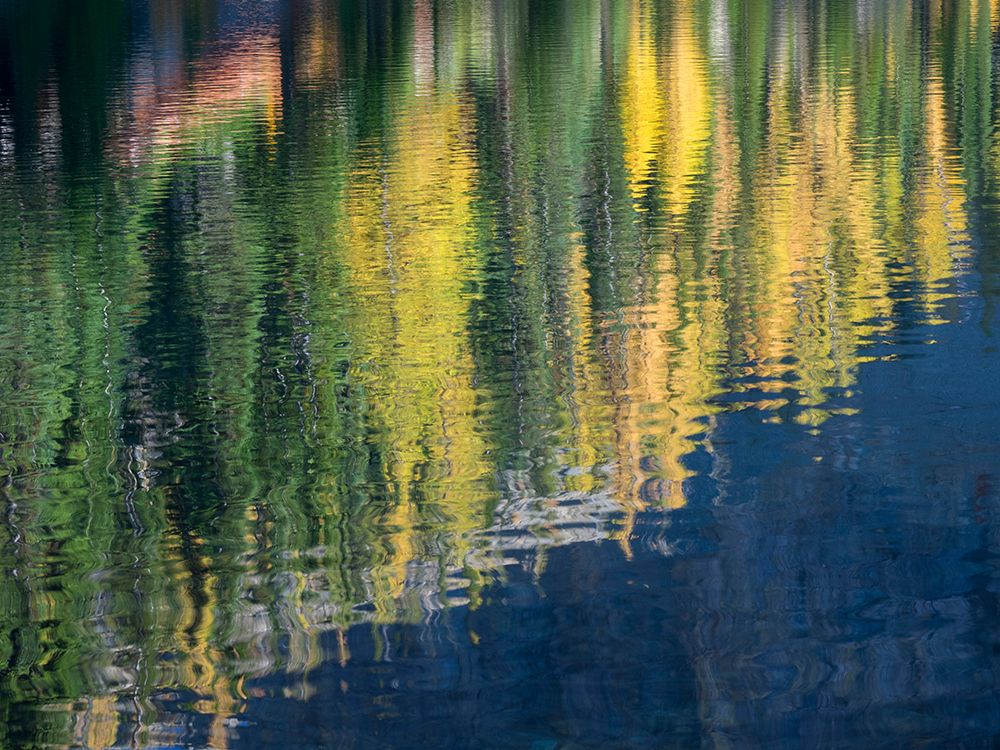 Washington State-North Cascades-Blue Lake-Larch tree reflections art print by Jamie and Judy Wild for $57.95 CAD