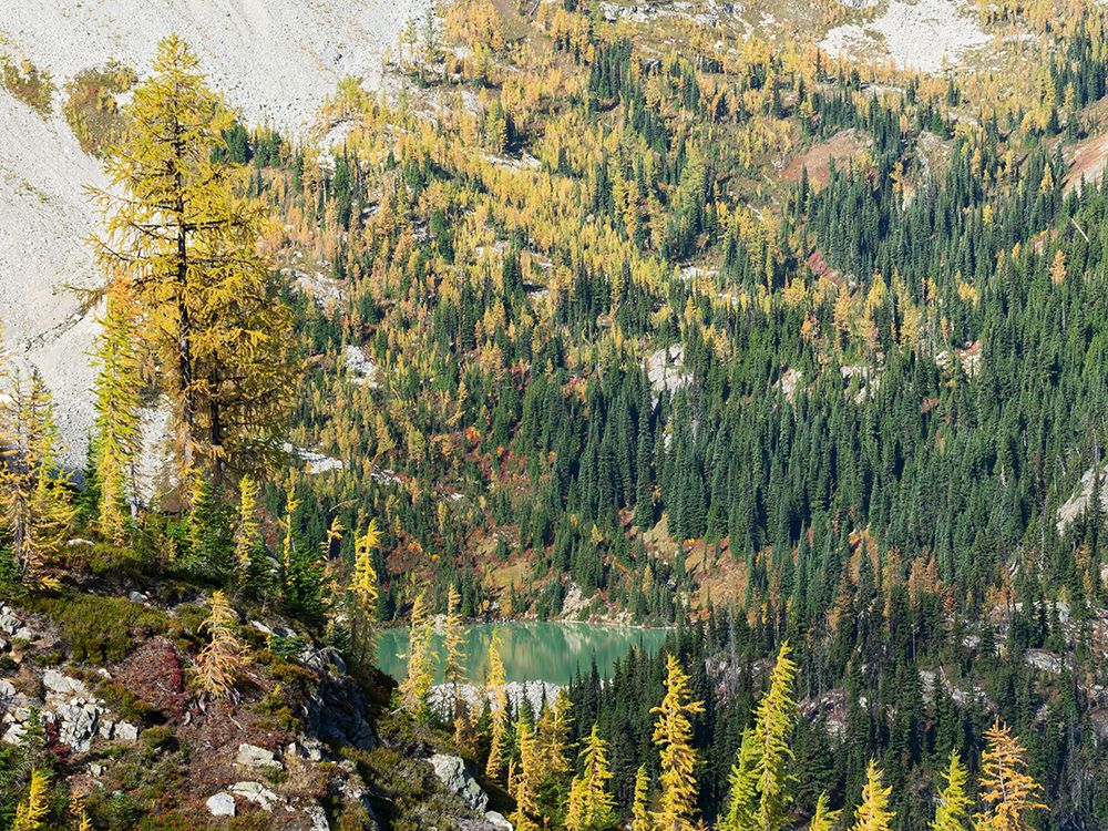 Washington State-North Cascades-Lewis Lake-view from Heather Pass art print by Jamie and Judy Wild for $57.95 CAD