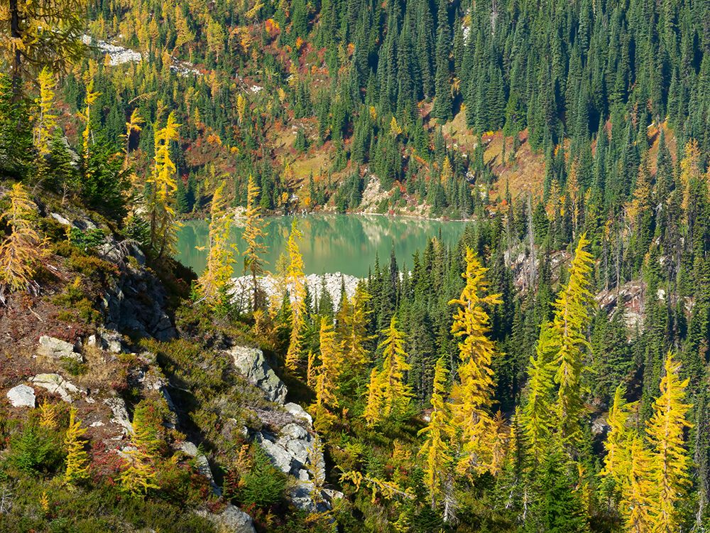 Washington State-North Cascades-Lewis Lake-view from Heather Pass art print by Jamie and Judy Wild for $57.95 CAD