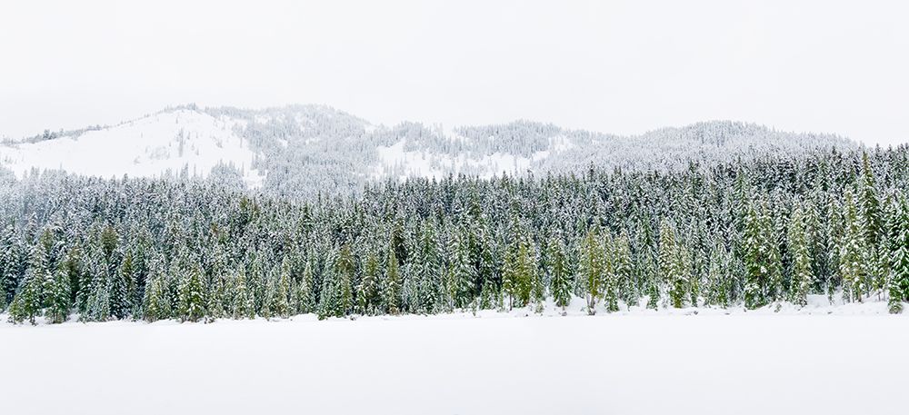 Washington State-Central Cascades Winter at frozen Olallie Lake art print by Jamie and Judy Wild for $57.95 CAD