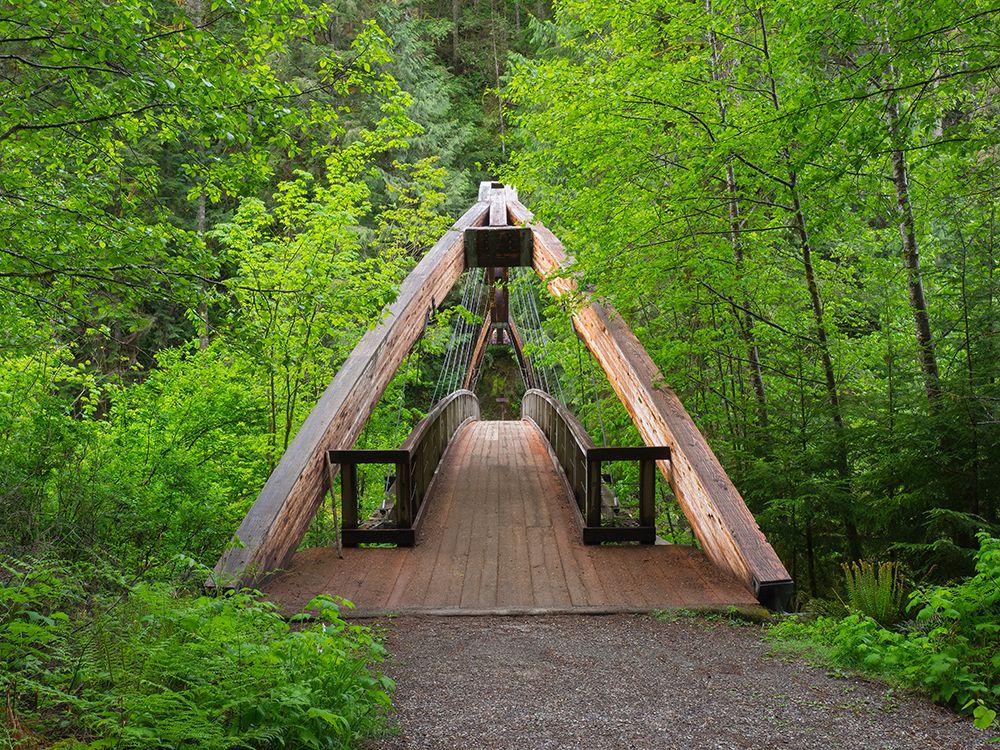 Washington State-Central Cascades Footbridge-over Middle Fork Snoqualmie River art print by Jamie and Judy Wild for $57.95 CAD