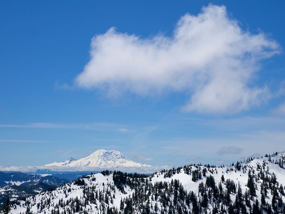 Washington State-Central Cascades View of Mount Rainier from Pratt Mountain art print by Jamie and Judy Wild for $57.95 CAD