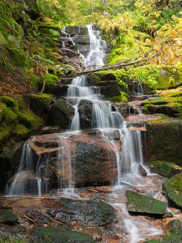 Washington State-Central Cascades Delicate Stairstep Waterfall art print by Jamie and Judy Wild for $57.95 CAD