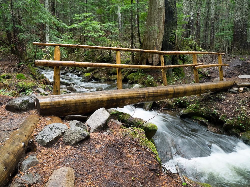 Washington State-Central Cascades Footbridge over Talapus Creek art print by Jamie and Judy Wild for $57.95 CAD