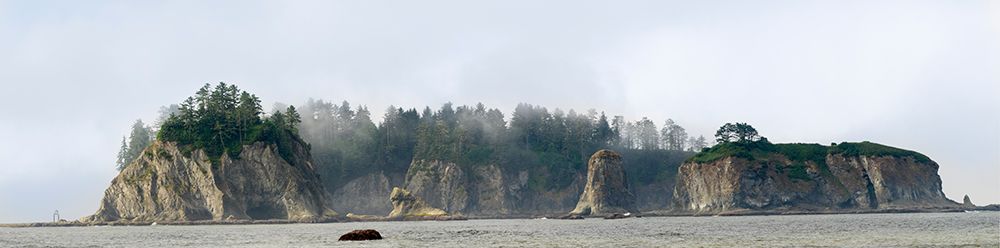 Washington State-Olympic National Park-Rialto Beach James Island art print by Jamie and Judy Wild for $57.95 CAD