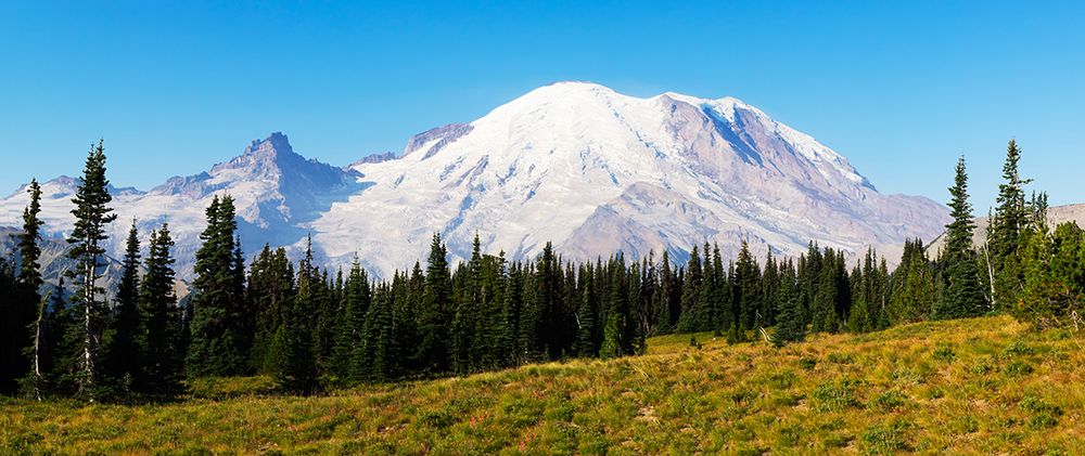Washington State-Mount Rainier National Park Mount Rainier art print by Jamie and Judy Wild for $57.95 CAD