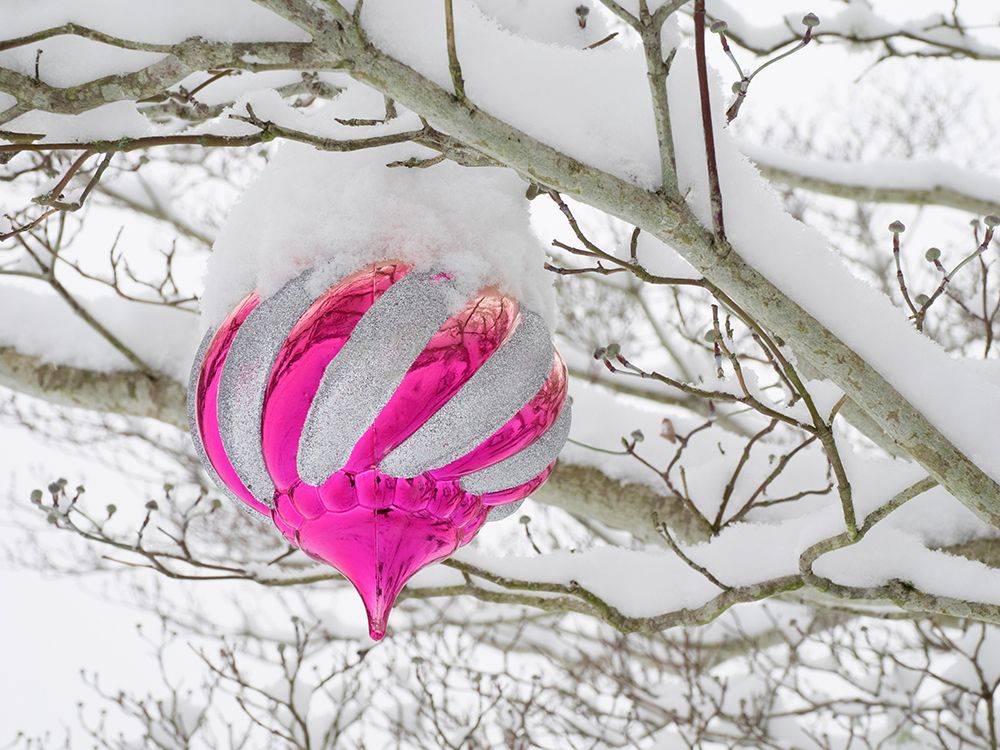 Washington State- Christmas ornament and snow art print by Jamie and Judy Wild for $57.95 CAD