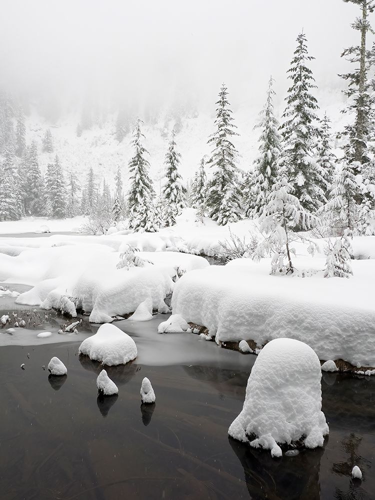 Washington State- Central Cascades. Winter scene at Granite Lake art print by Jamie and Judy Wild for $57.95 CAD
