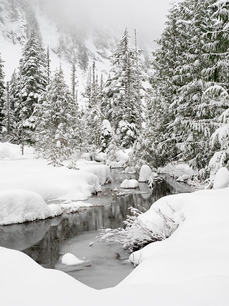 Washington State- Central Cascades. Granite Creek winter scene art print by Jamie and Judy Wild for $57.95 CAD