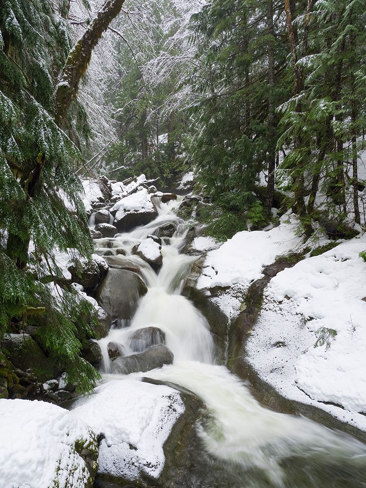 Washington State- Central Cascades. Martin Creek art print by Jamie and Judy Wild for $57.95 CAD