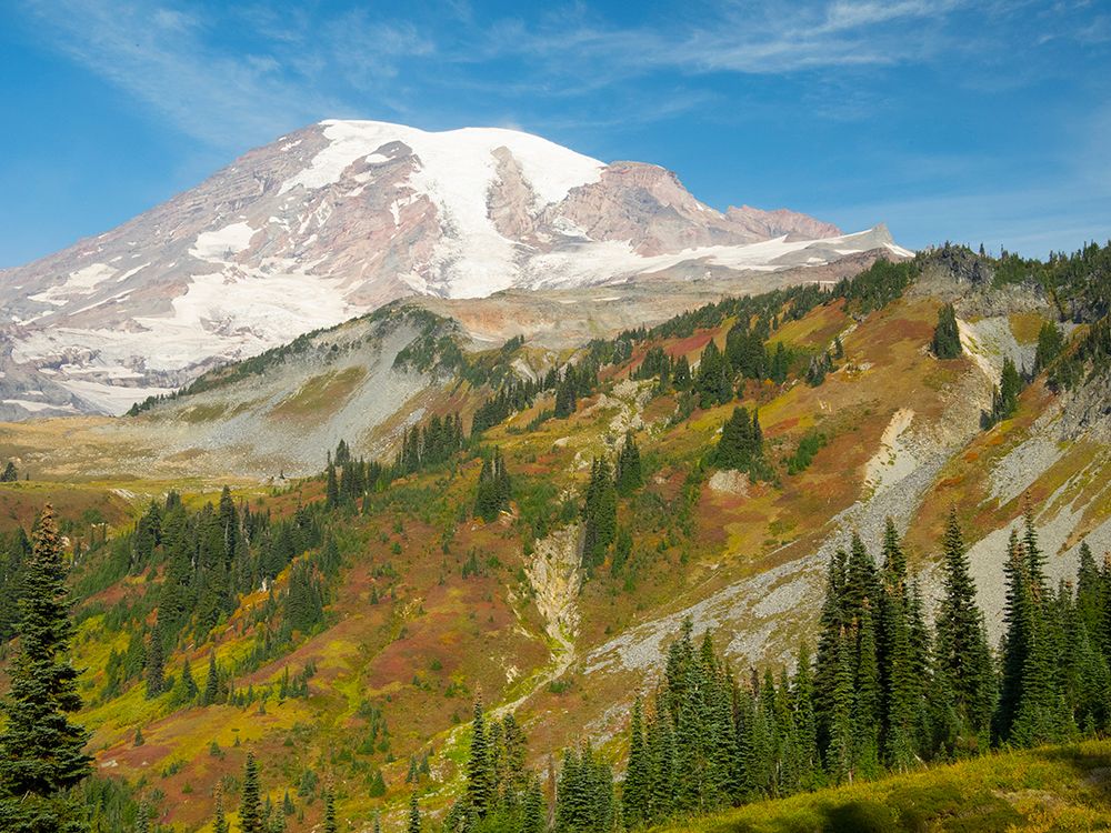 USA-WA-Mount Rainier National Park Mount Rainier and fall color-view from Skyline Trail art print by Jamie and Judy Wild for $57.95 CAD