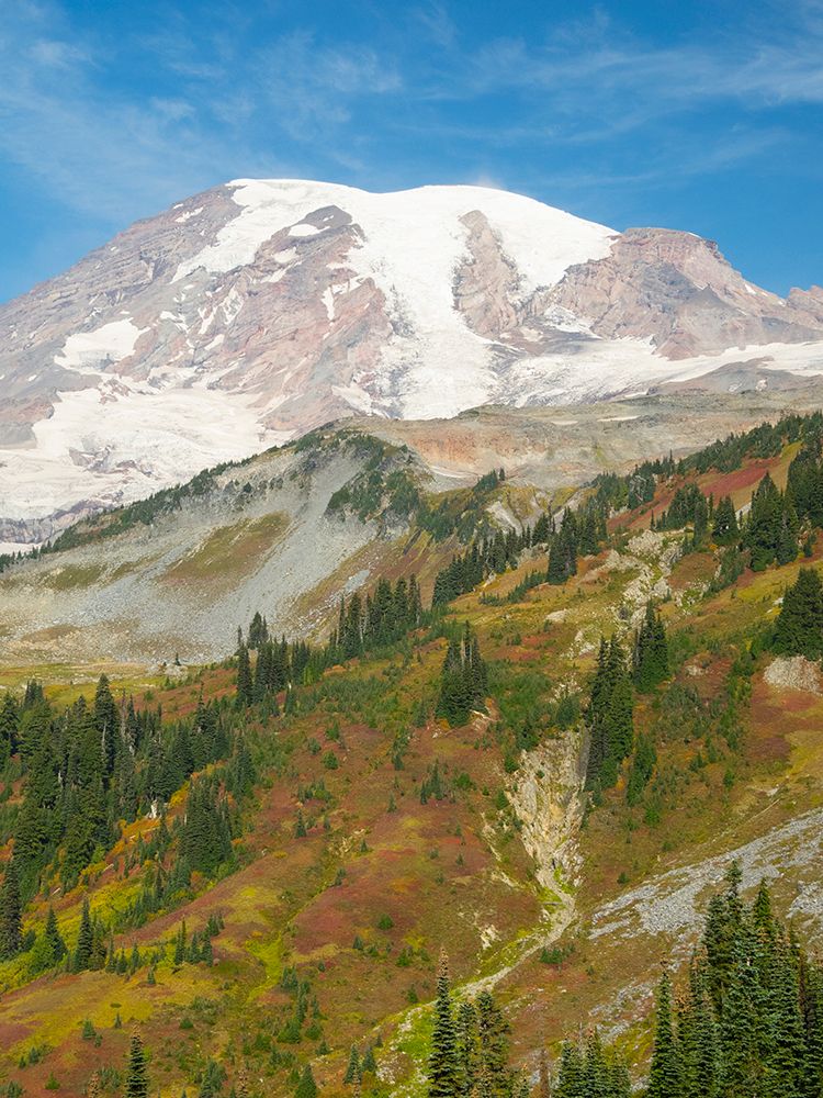 USA-WA-Mount Rainier National Park Mount Rainier and fall color-view from Skyline Trail art print by Jamie and Judy Wild for $57.95 CAD