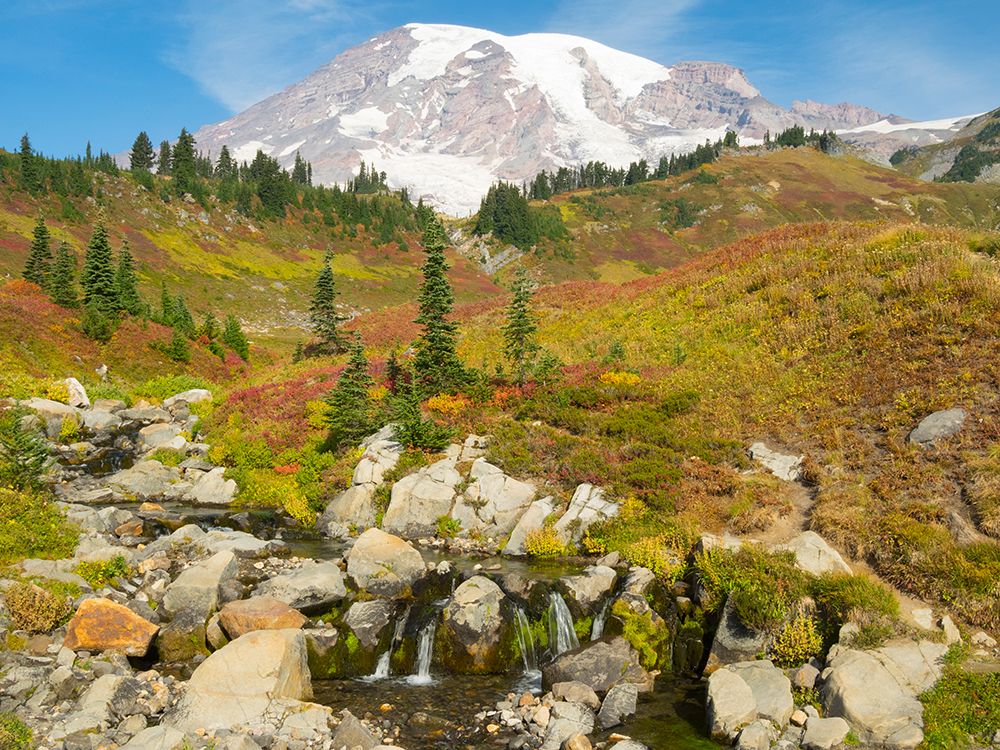 USA-Washington State-Mount Rainier National Park Mount Rainier and fall color-with Edith Creek art print by Jamie and Judy Wild for $57.95 CAD