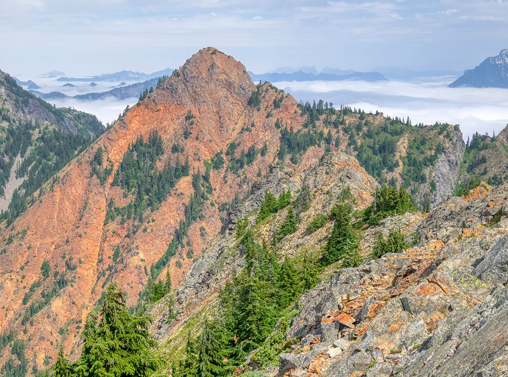 USA-Washington State Central Cascades-Red Mountain and alpine fir trees art print by Jamie and Judy Wild for $57.95 CAD