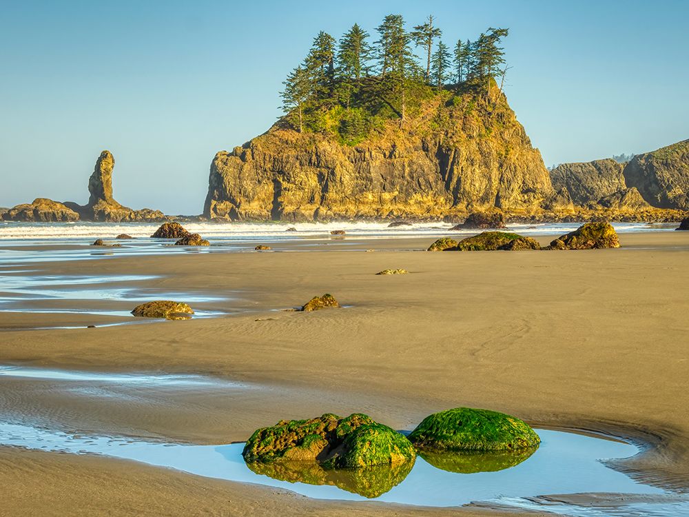 Washington, Olympic NP, Second Beach, seagrass covered rocks in tide pool, seastacks at low tide art print by Jamie and Judy Wild for $57.95 CAD