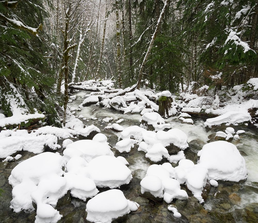 Washington State, Cascades. Mount Baker Snoqualmie NF, Martin Creek, winter with snow covered rocks art print by Jamie and Judy Wild for $57.95 CAD