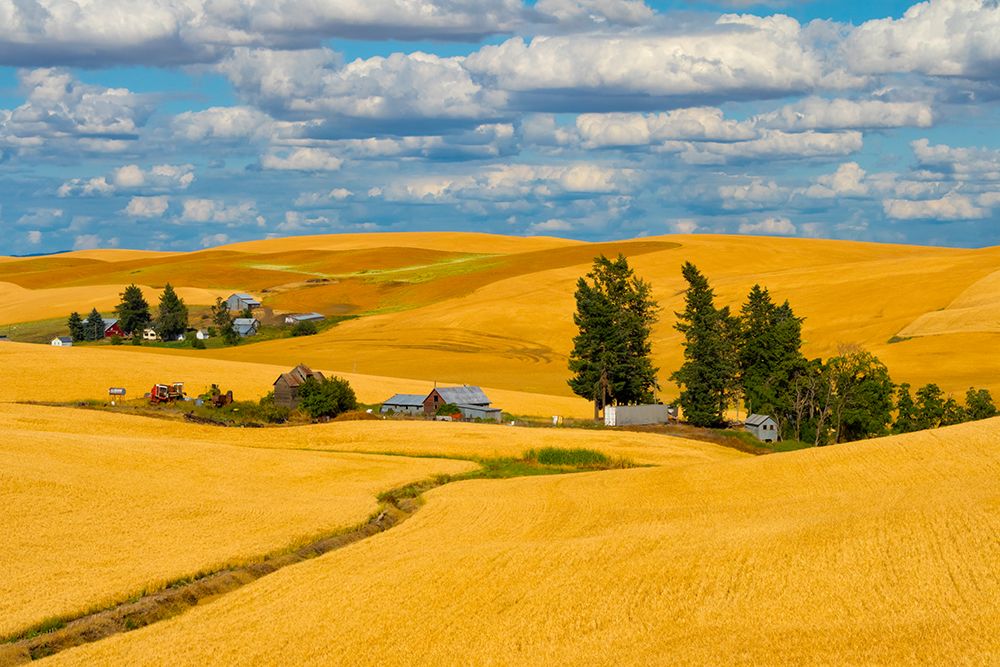 Clouds above farm house on wheat field-Palouse-eastern Washington State-USA art print by Keren Su for $57.95 CAD